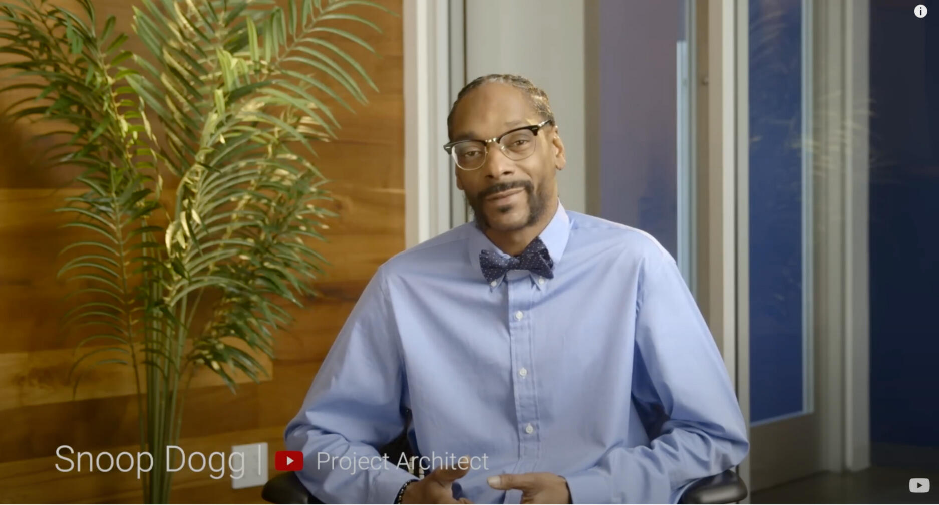 Youtube Snoopavision